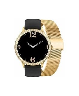 Izcila laikrodis DAMSKI GRAVITY GT5-1 - PAPILDU JOSTA (sg043a)