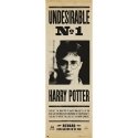 ERIK Harry Potter Nepatikamais numurs 1 plakāts ERIK Harry Potter Nepatikamais numurs 1 plakāts