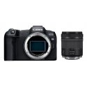 Canon EOS R8 + RF 24-105mm F4-7.1 IS STM Canon EOS R8 + RF 24-105mm F4-7.1 IS STM