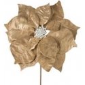 Eurofirany SW/KW/251 25X14 GOLD Eurofirany SW/KW/251 25X14 GOLD