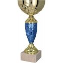 Tryumf T-M 9058G gold-blue metal mug