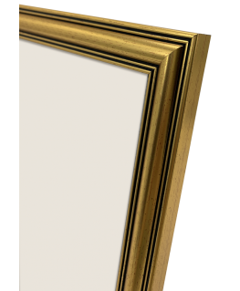 Focus Holly Gold Photo Frame 15x20