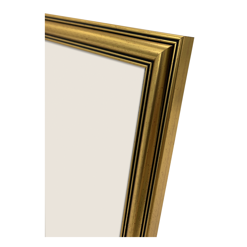 Focus Holly Gold Photo Frame 15x20