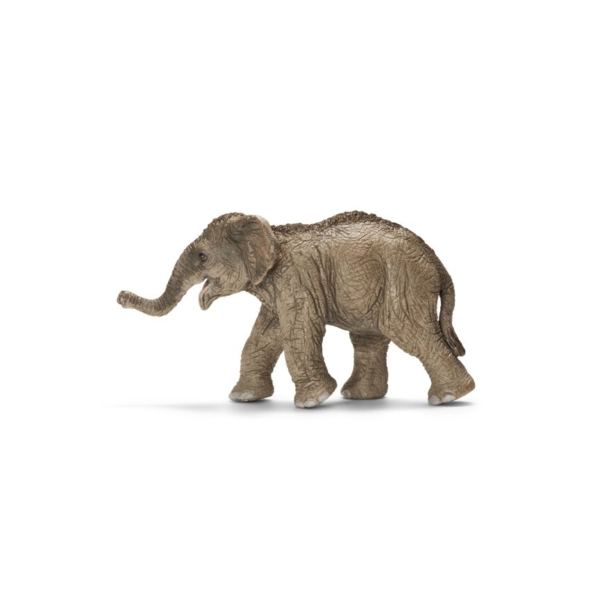 schleich WILD LIFE Asian Elephant Calf