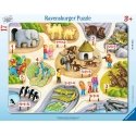 Ravensburger Puzzle Erstes Zählen bis 5 Pusle 17 tk Haridus Ravensburger Puzzle Erstes Zählen bis 5 Pusle 17 tk Haridus