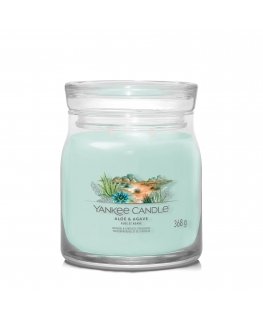 Yankee Candle Aloe & Agave wax candle Cylinder Blue 1 pc(s)
