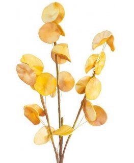 Eurofirany KW/FLORE/710/POM POMA+GELTONA