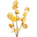Eurofirany KW/FLORE/710/POM POMA+GELTONA Eurofirany KW/FLORE/710/POM POMA+GELTONA