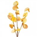 Eurofirany KW/FLORE/710/POM POMA+GELTONA Eurofirany KW/FLORE/710/POM POMA+GELTONA