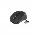 Gembird MUSW-6B-01 mouse Office Right-hand RF Wireless Optical 1600 DPI Gembird MUSW-6B-01 mouse Office Right-hand RF Wireless Optical 1600 DPI