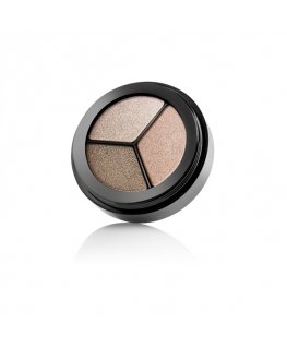 Paese Cosmetics Dancing Queen eye shadow 3.6 g 805 Metallic