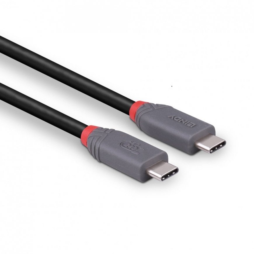 Lindy 36956 USB-kaapeli USB4 Gen 3x2 0,8 m USB C musta – 3