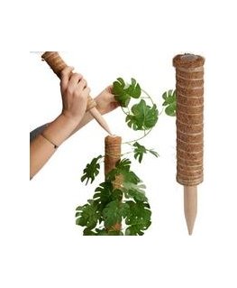Kokosų augalo atrama 50 cm ProGarden