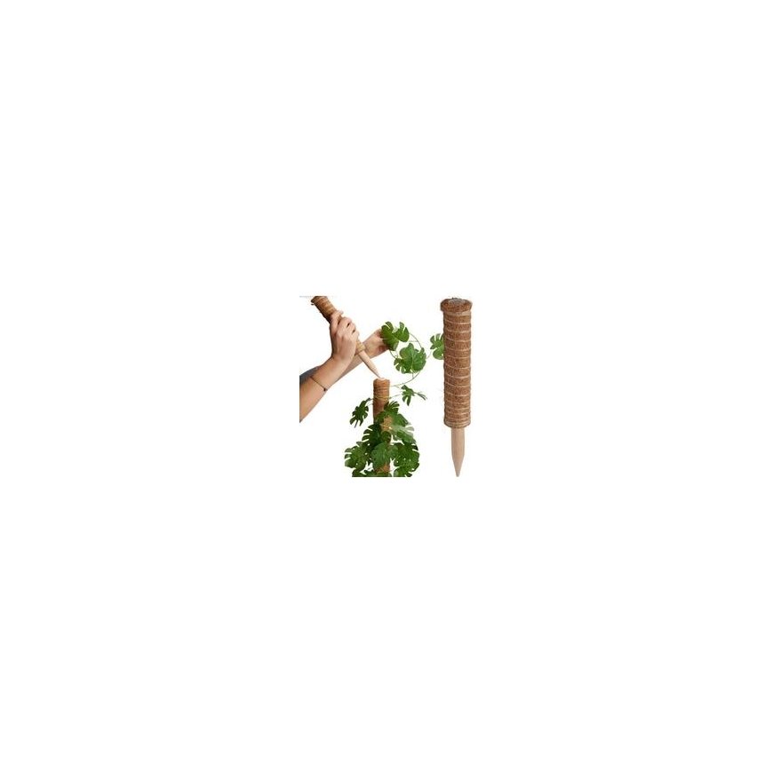 ProGarden Kokosu auga atbalsts 50 cm