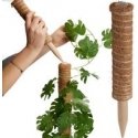 Kookospalmun tuentuki 50 cm ProGarden