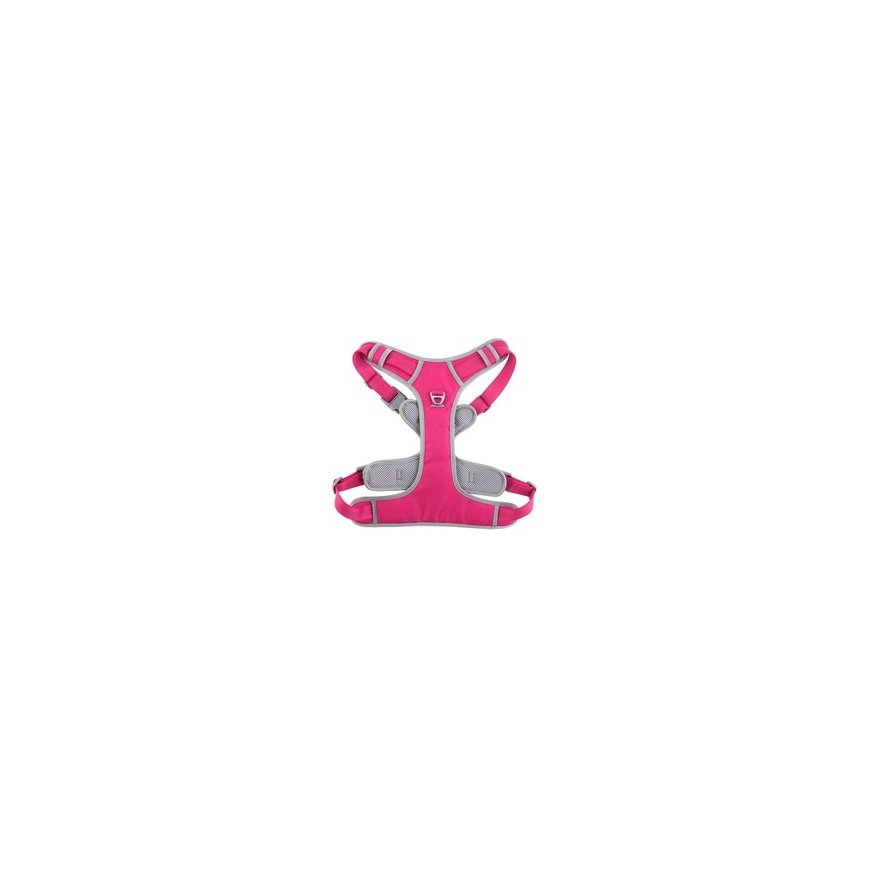 Gloria koera rakmed OXFORD B suurus M roosa hall