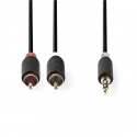 Nedis CABW22200AT20 audiokaapeli 2 m 3.5mm 2 x RCA Antrasiitti Nedis CABW22200AT20 audiokaapeli 2 m 3.5mm 2 x RCA Antrasiitti