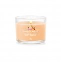 Yankee Candle Mango Ice Cream wax candle Round Banana, Orange, Pineapple, Vanilla Orange 1 pc(s) Yankee Candle Mango Ice Cream wax candle Round Banana, Orange, Pineapple, Vanilla Orange 1 pc(s)