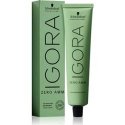 Schwarzkopf Professional Igora Zero Amm Hair Dye 60ml - 7-42 | Medium Beige Ash Blonde Schwarzkopf Professional Igora Zero Amm Hair Dye 60ml - 7-42 | Medium Beige Ash Blonde