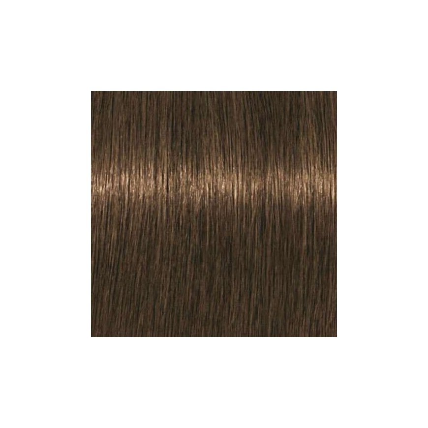 Schwarzkopf Igora Royal Absolutes long-lasting gray hair dye 60 ml - 7-140 – 2