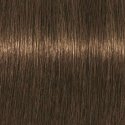 Schwarzkopf Igora Royal Absolutes краска для волос с длительным эффектом для седых волос 60 мл - 7-140 Schwarzkopf Igora Royal Absolutes краска для волос с длительным эффектом для седых волос 60 мл - 7-140