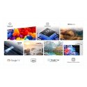 TCL P6K 55P6K телевизор 139,7 cm (55") 4K Ultra HD Smart TV Wi-Fi Металлический