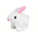 LEAN Toys 14977 interaktiivinen lelu LEAN Toys 14977 interaktiivinen lelu