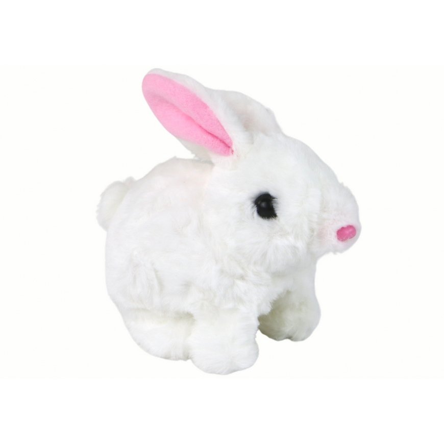 LEAN Toys 14977 interactive toy – 2