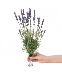 AmeliaHome ARTFLOWER/AH/LAVI/27/1PC