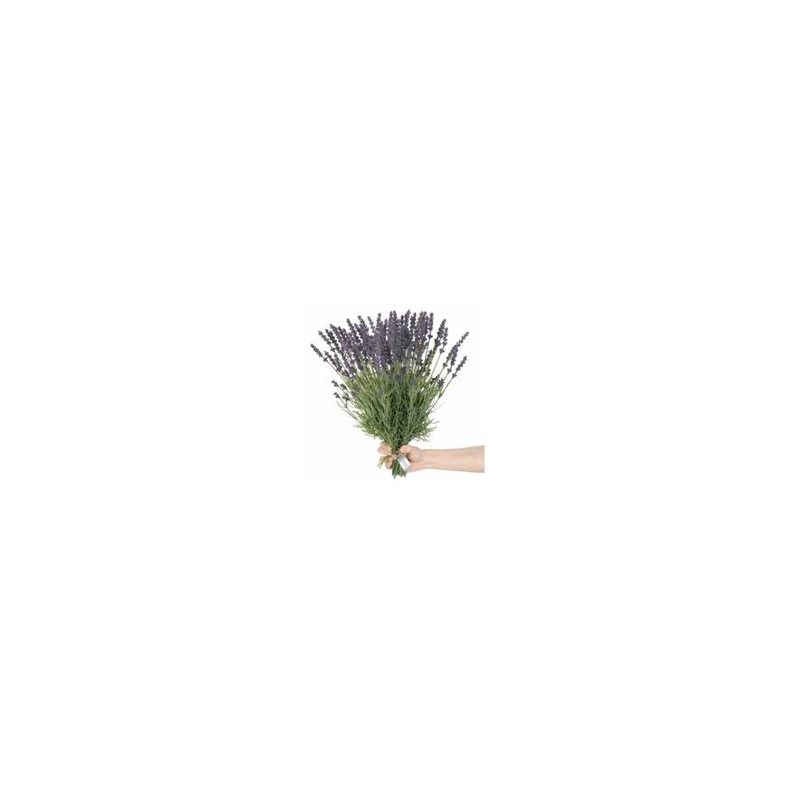 AmeliaHome ARTFLOWER/AH/LAVI/27/1PC – 2