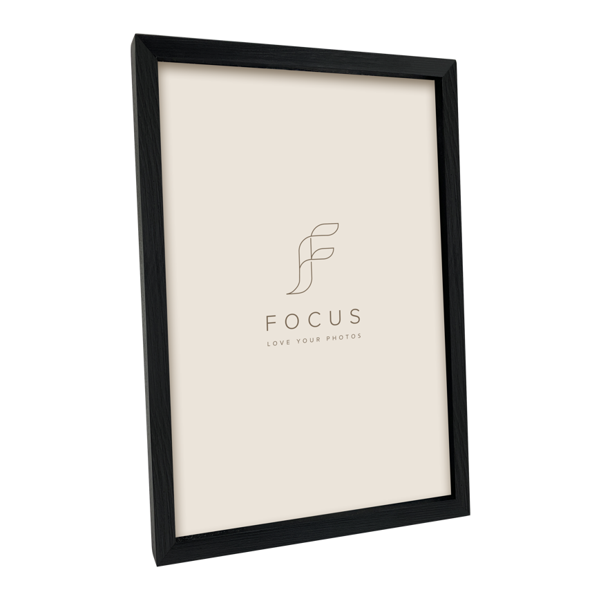 Focus Willow Melns 24x30