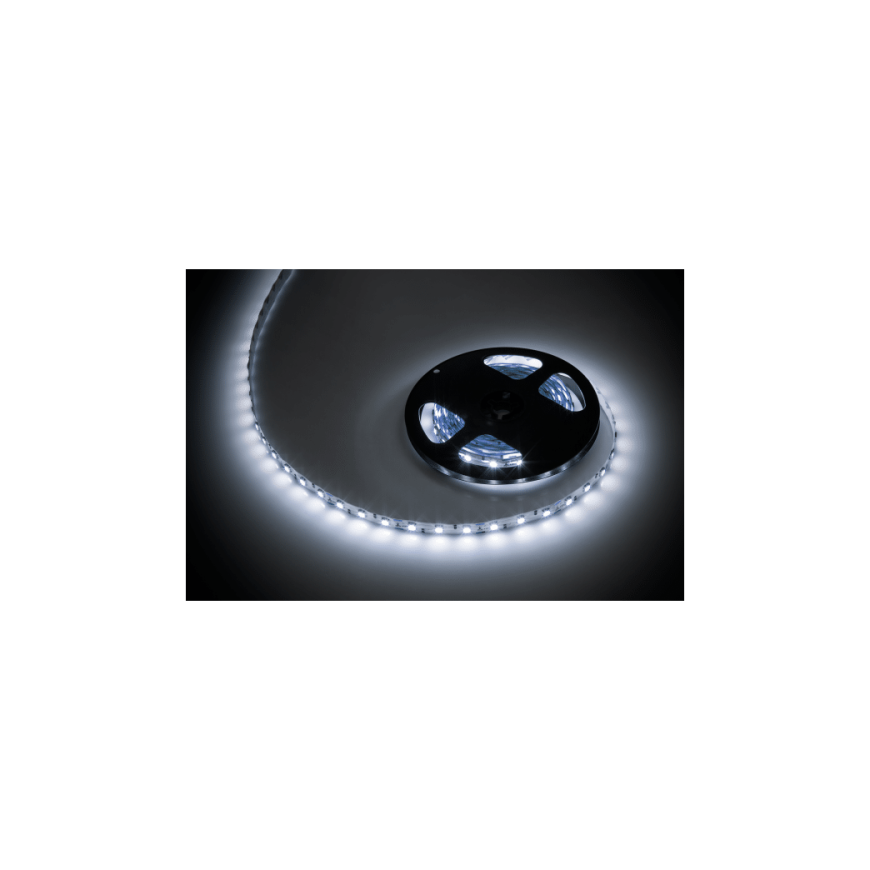 Rebel LED strip 5m (300x5050) cool white 12V