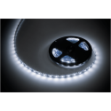 Rebel LED strip 5m (300x5050) cool white 12V