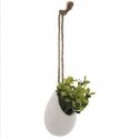 Atmosphera Artificial Plant in Decorative Pot, Hanging with String, 13 cm Atmosphera Artificial Plant in Decorative Pot, Hanging with String, 13 cm