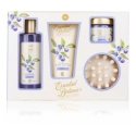 Accentra Bathroom Set ESSENTIAL BOTANICS – FRUITS Accentra Bathroom Set ESSENTIAL BOTANICS – FRUITS