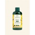 The Body Shop Mango värskendav dušigeel (Dušigeel) The Body Shop Mango värskendav dušigeel (Dušigeel)