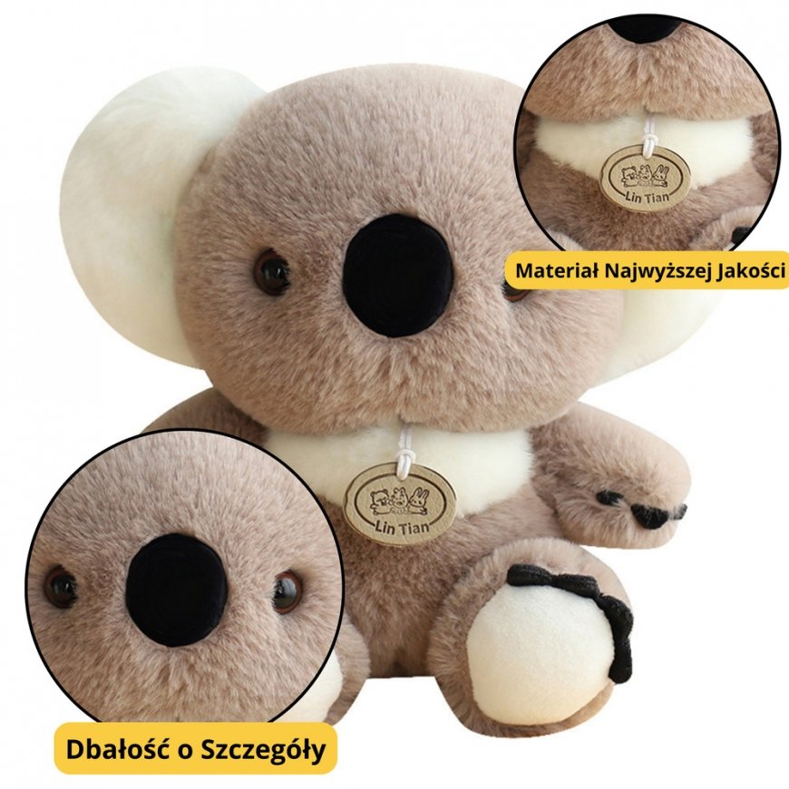 Lean Toys Pliushinen lelu koala 23 cm