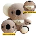 Lean Toys Pliušinis žaislas koala 23 cm Lean Toys Pliušinis žaislas koala 23 cm