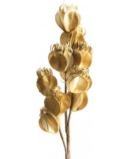 Eurofirany KW/FLORE/754/BROWN RUSKEA