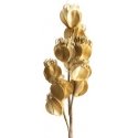 Eurofirany KW/FLORE/754/BROWN BROWN Eurofirany KW/FLORE/754/BROWN BROWN
