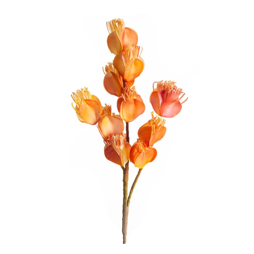 Eurofirany KW/FLORE/754/BROWN PRUUN – 2