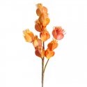 Eurofirany KW/FLORE/754/BROWN PRUUN Eurofirany KW/FLORE/754/BROWN PRUUN