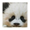 Kind Fox by Wizardi Siarhei Ausianikau ind. veikla pgl. pazyma Nr. 1130904 Šūnu unizējumu komplekts Baby shark KF022/120