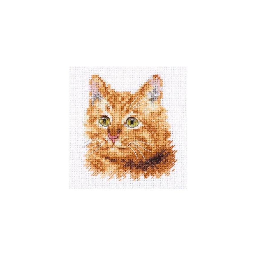 Alisa Beldizart Animal Portraits. Ginger Cat S0-207