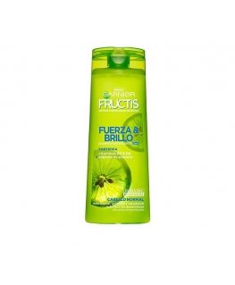 Garnier Fructis Strength And Shine 2 in 1 -shampooni 360 ml