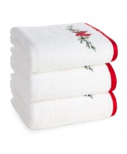 Eurofirany Towel RE/AURA/06/C.ZIE 30X50 (X6) 550