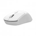 MediaRange MROS257 mouse Home Ambidextrous Optical 1600 DPI MediaRange MROS257 mouse Home Ambidextrous Optical 1600 DPI