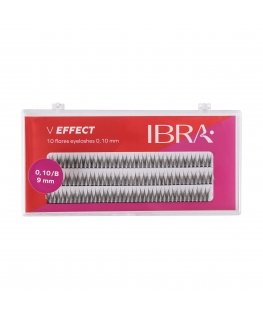 Ibra pintslid B