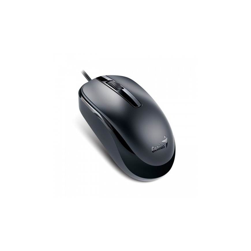Genius Computer Technology DX-120 pele Birojs Abām rokām USB Type-A Optisks 1000 DPI