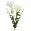 Eurofirany SW/KW/274 30X39 PUNANE+B Eurofirany SW/KW/274 30X39 PUNANE+B